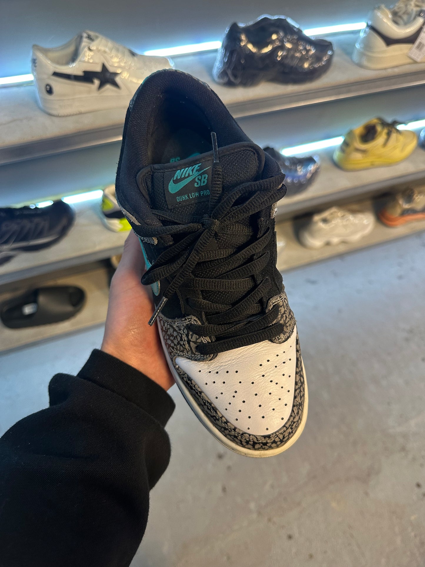 Nike Dunk Low SB Pro Atmos Elephant (USED)