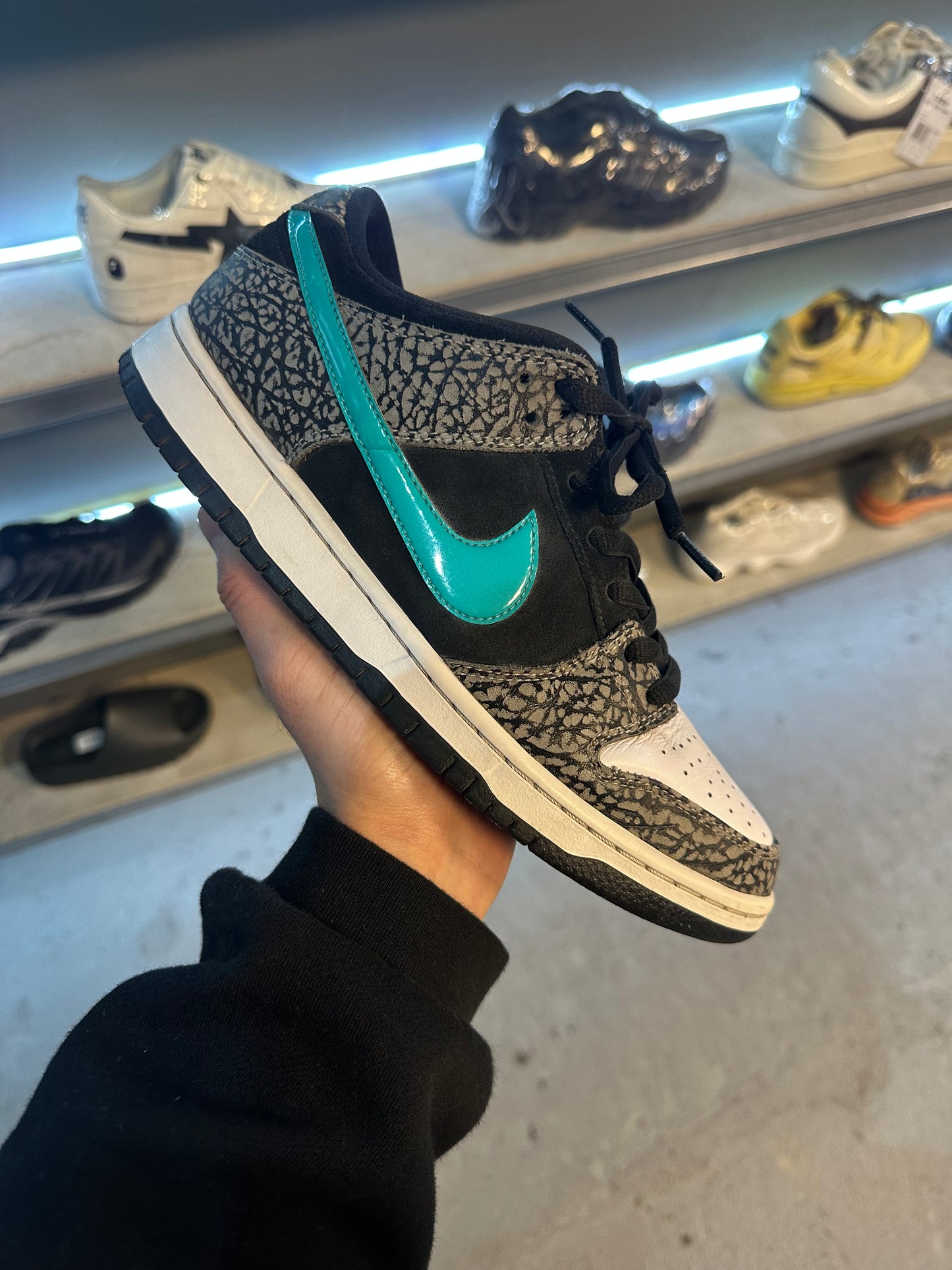 Nike Dunk Low SB Pro Atmos Elephant (USED)