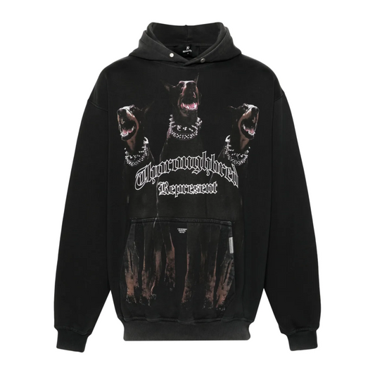 Poleron Represent Thoroughbred Black
