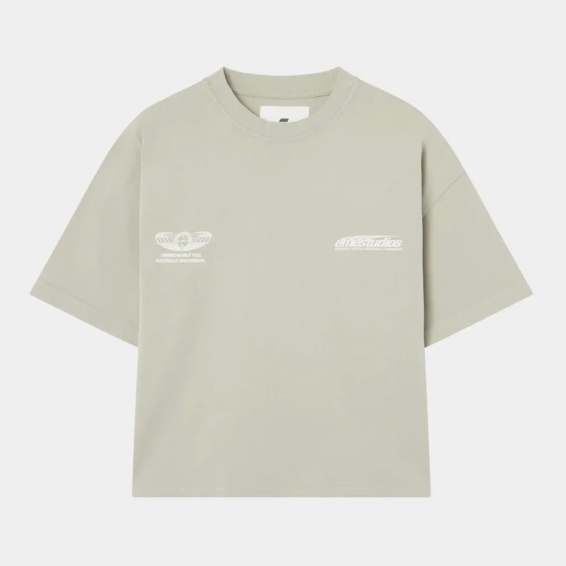 Polera Eme Studios Ginger Sage Oversized Tee