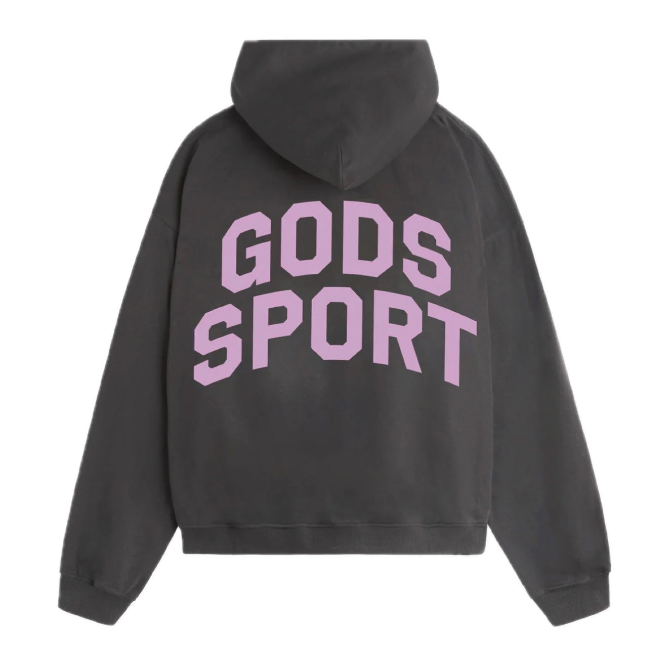 Poleron Fake Gods Sport Club Hoodie Antracite