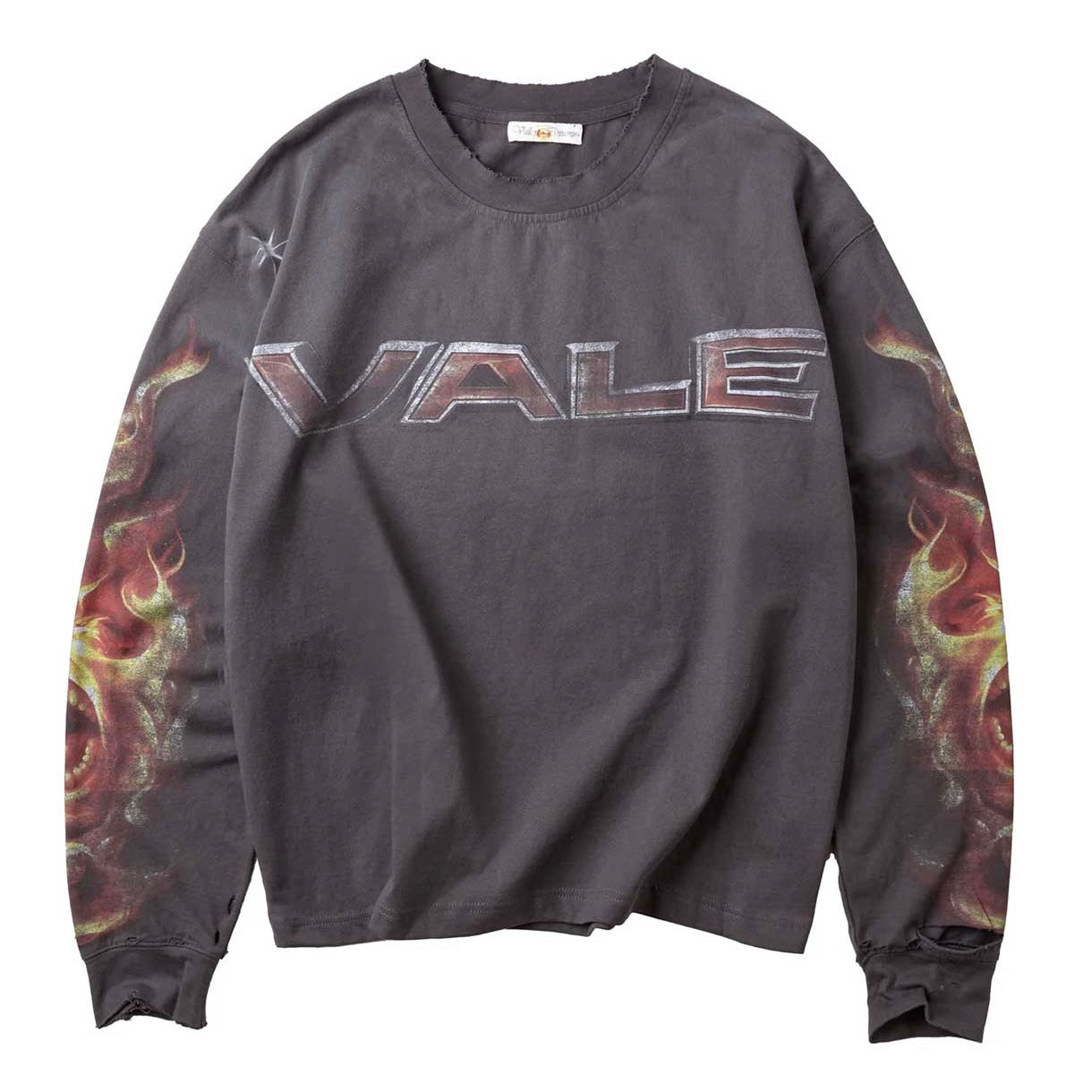 Polera Vale Forever Valley Dreams Trunks Vs Freezer Budokai L/S Black
