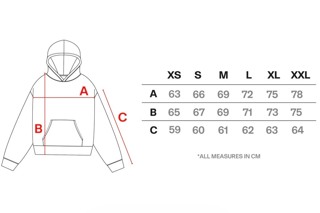 Poleron Fake Gods Sport Club Hoodie Antracite