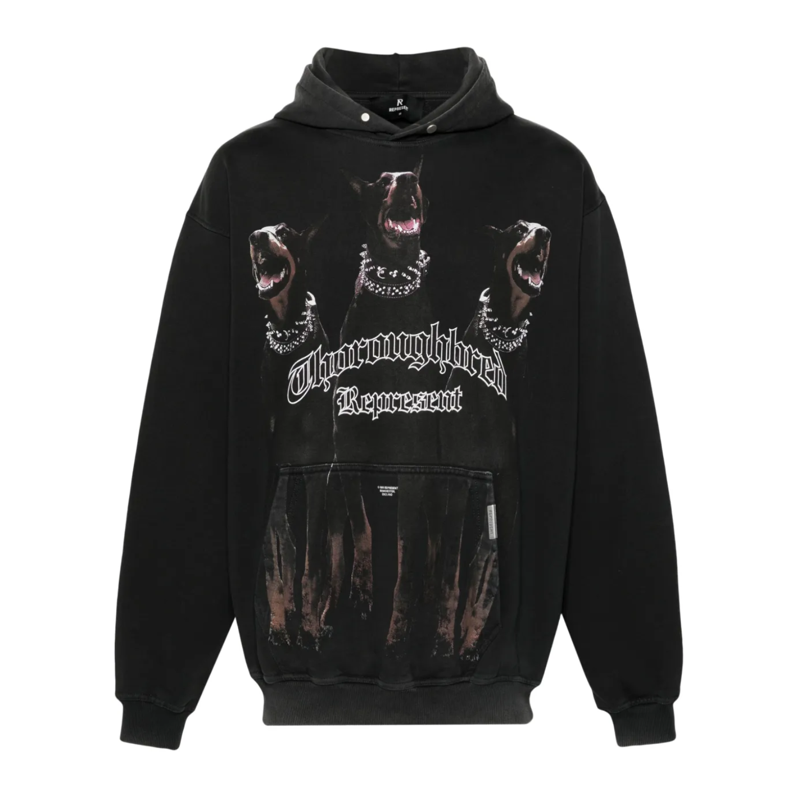 Poleron Represent Thoroughbred Black