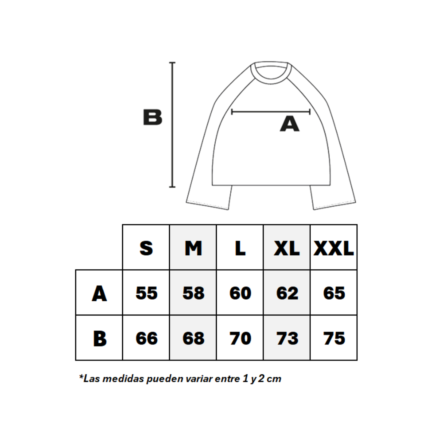 Chaqueta Carhartt WIP Detroit Shale
