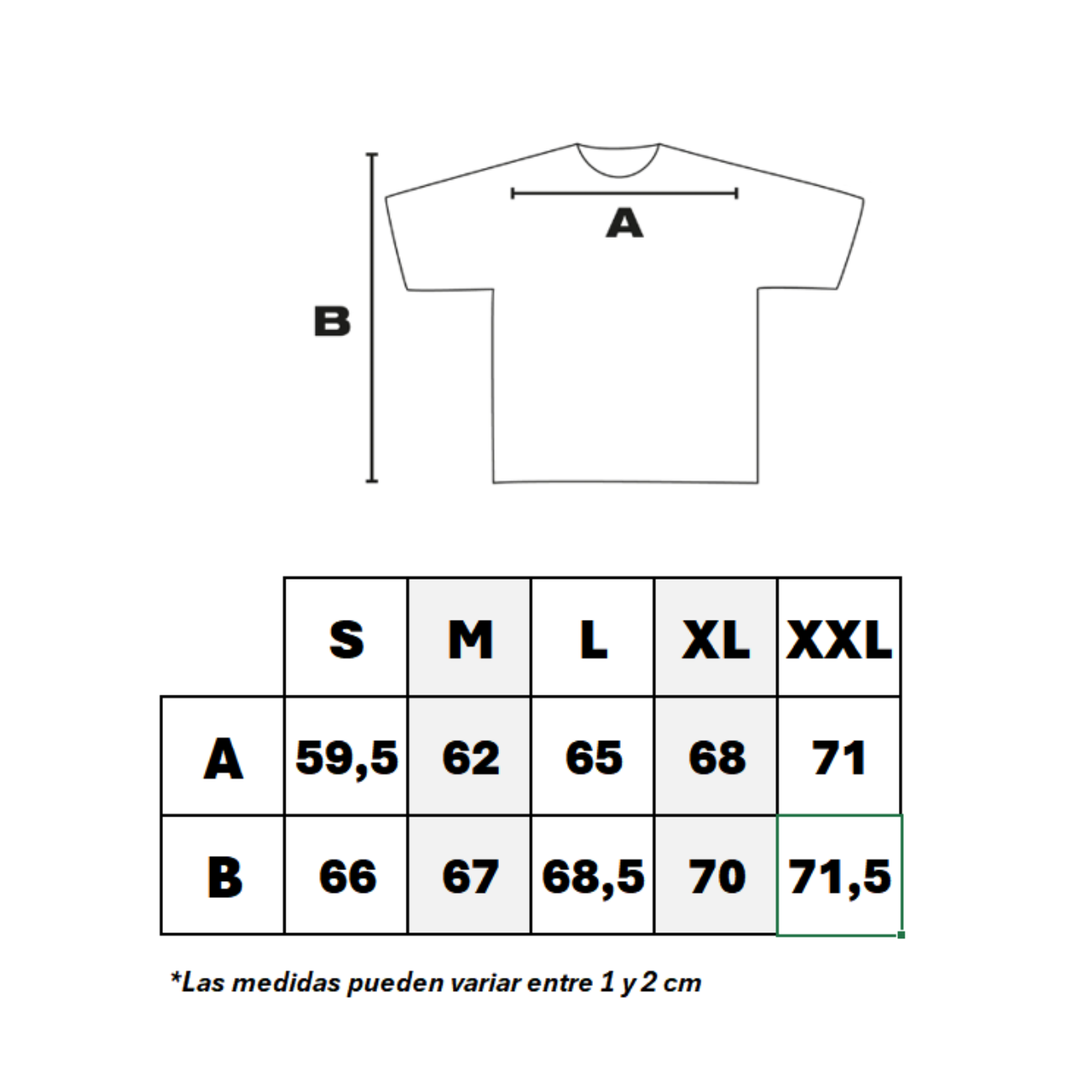 Polera Represent Owners Club Faded Black